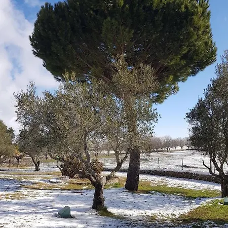 Casas Del Sevillano Hotel